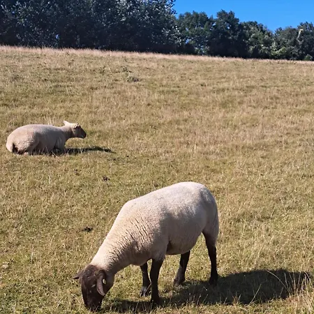 Miramar Dahme (Schleswig-Holstein)