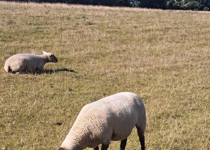 Miramar Dahme (Schleswig-Holstein)